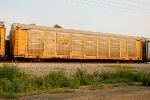 TTGX 985505